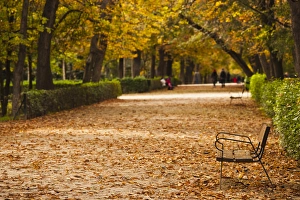 Spain, Madrid, Parque del Buen Retiro park, fall foliage Spain, Madrid, Parque del Buen Retiro park, fall foliage