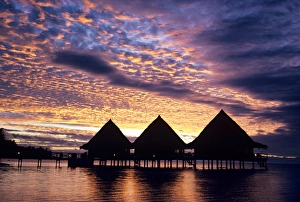 A spectacular sunset silhouettes a group of thatched-roof overwater bungalows in A spectacular sunset silhouettes a group of thatched-roof overwater bungalows in