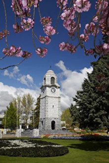 Spring blossom and Memorial Clock Tower, Seymour Square, Blenheim, Marlborough, South Island Spring blossom and Memorial Clock Tower, Seymour Square, Blenheim, Marlborough, South Island