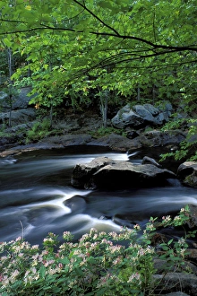 Spring at Packers Falls on the Lamprey River. A National Wild and Scenic River Spring at Packers Falls on the Lamprey River. A National Wild and Scenic River