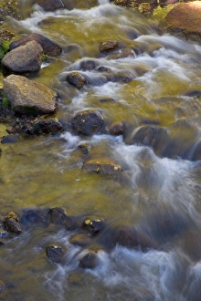 Stream in Fall with the colors reflected in the moving waters, Alabama Hills California Stream in Fall with the colors reflected in the moving waters, Alabama Hills California