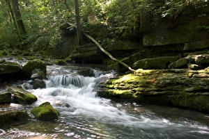 Stream flowing out of Blanchard Cavern in the Ouachita National Forest of Arkansas Stream flowing out of Blanchard Cavern in the Ouachita National Forest of Arkansas