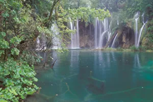 A string of falls surounds a smaller lake with submerged logs A string of falls surounds a smaller lake with submerged logs