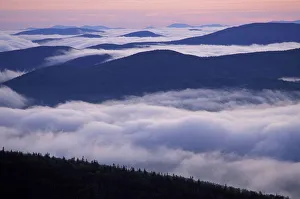 From Sugarloaf Mtn. Sunrise, undercast, fog. Nash Stream State Forest. Northern Forest From Sugarloaf Mtn. Sunrise, undercast, fog. Nash Stream State Forest. Northern Forest