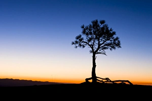 Before sunrise at Bryce Canyon National Park. Utah. US Before sunrise at Bryce Canyon National Park. Utah. US