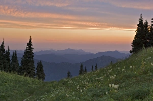 Sunrise-colored clouds over a field of wildflowers in the Tatoosh Wilderness looking Sunrise-colored clouds over a field of wildflowers in the Tatoosh Wilderness looking