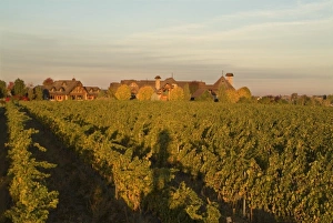 Sunrise overlooking one of the vineyards of Basel Cellars Estate Winery in Walla Walla Washington Sunrise overlooking one of the vineyards of Basel Cellars Estate Winery in Walla Walla Washington
