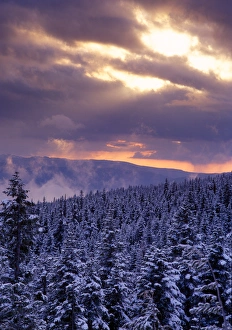 Sunrise over a snow covered forest in the Mt Hood National Forest, Oregon Cascades Sunrise over a snow covered forest in the Mt Hood National Forest, Oregon Cascades