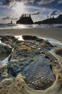 Sunset and beach. Olympic National Park, Washington, US Sunset and beach. Olympic National Park, Washington, US