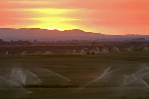 Sunset on farmland irrigation near Grandview, Idaho Sunset on farmland irrigation near Grandview, Idaho