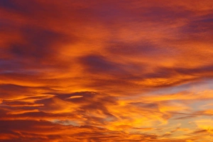 Sunset fills the cloud with a golden red color Sunset fills the cloud with a golden red color