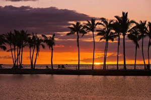 Sunset through silhouetted palms at Anaehoomalu Bay, Kohala Coast, The Big Island Sunset through silhouetted palms at Anaehoomalu Bay, Kohala Coast, The Big Island