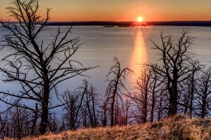 Sunset at Yellowstone Lake. Burned trees. Yellowstone National Park. Wyoming Sunset at Yellowstone Lake. Burned trees. Yellowstone National Park. Wyoming