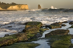 Surf on four-mile beach. Santa Cruz coast, California, US Surf on four-mile beach. Santa Cruz coast, California, US