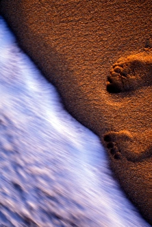The surf moves in to clear away the the footprints left in the sand by a beachcomber The surf moves in to clear away the the footprints left in the sand by a beachcomber
