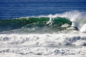 Four surfers catch a wave at the 2006 Mavericks big wave surf competition near Half Four surfers catch a wave at the 2006 Mavericks big wave surf competition near Half