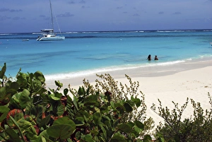 Swimming the waters of Prickly Pear Island with Festiva Sailing Vacations (MR) Swimming the waters of Prickly Pear Island with Festiva Sailing Vacations (MR)