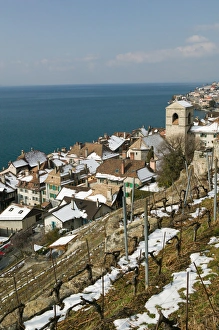 SWITZERLAND-(Vaud)-Swiss Riviera-SAINT-SAPHORIN:Wine Town on Lake Geneva / Winter SWITZERLAND-(Vaud)-Swiss Riviera-SAINT-SAPHORIN:Wine Town on Lake Geneva / Winter