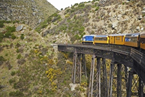 Taieri Gorge Train on Viaduct, near Dunedin, South Island, New Zealand Taieri Gorge Train on Viaduct, near Dunedin, South Island, New Zealand