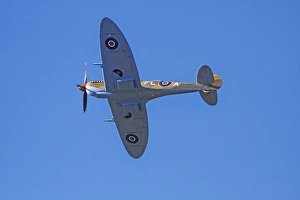 Tandem Supermarine Spitfire Trainer - British and allied WWII Fighter Plane Tandem Supermarine Spitfire Trainer - British and allied WWII Fighter Plane