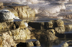 Terraces, Mammoth Hot Springs; Yellowstone National Park; Wyoming; USA Terraces, Mammoth Hot Springs; Yellowstone National Park; Wyoming; USA