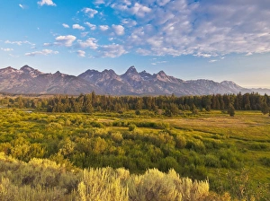 Teton Front Range and Sage at Sunrise, Antelope Flats, Grand Teton National Park, WY, USA Teton Front Range and Sage at Sunrise, Antelope Flats, Grand Teton National Park, WY, USA