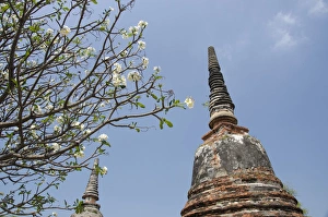 Thailand, Ayutthaya. Wat Phra Si Sanphet, the historic home to the royal palace from 1350-1448 Thailand, Ayutthaya. Wat Phra Si Sanphet, the historic home to the royal palace from 1350-1448