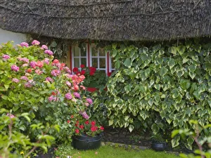 Thatched Cottage Ireland Prints: Thatched cottage