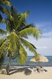 Thatched palapas, palm tree and lounge chairs on beach, looking out to Caribbean Sea Thatched palapas, palm tree and lounge chairs on beach, looking out to Caribbean Sea