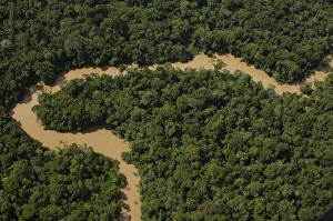 Tiguino River in Yasuni National Park. Amazon Rain Forest. ECUADOR. South America Tiguino River in Yasuni National Park. Amazon Rain Forest. ECUADOR. South America