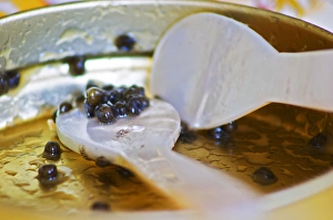 An empty tin of sturgeon caviar with two mother of pearl spoons and only a few grains An empty tin of sturgeon caviar with two mother of pearl spoons and only a few grains