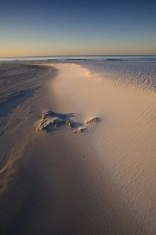 Tophill preserve state park, Destin, Florida panhandle Tophill preserve state park, Destin, Florida panhandle
