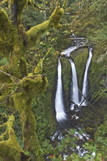 Triple Falls on Oneonta Creek, Columbia River Gorge, Oregon Triple Falls on Oneonta Creek, Columbia River Gorge, Oregon