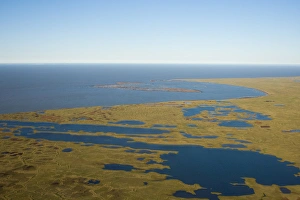 tundra landscape with freshwater ponds along the Arctic coast, by the Colville River tundra landscape with freshwater ponds along the Arctic coast, by the Colville River