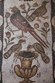 Tunisia, Tunis, Bardo Museum, Roman-era mosaics Tunisia, Tunis, Bardo Museum, Roman-era mosaics