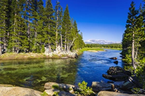 The Tuolumne River, Tuolumne Meadows, Yosemite National Park, California USA The Tuolumne River, Tuolumne Meadows, Yosemite National Park, California USA