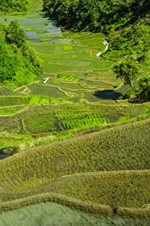 Unesco world heritage sight the rice terraces of Banaue, Northern Luzon, Philippines Unesco world heritage sight the rice terraces of Banaue, Northern Luzon, Philippines