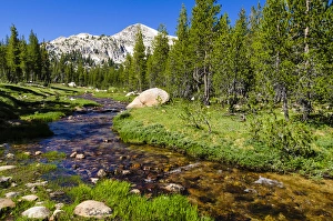 Unicorn Creek, Tuolumne Meadows, Yosemite National Park, California USA Unicorn Creek, Tuolumne Meadows, Yosemite National Park, California USA