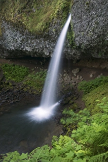 Upper Horsetail Falls, Columbia River Gorge, Oregon, USA Upper Horsetail Falls, Columbia River Gorge, Oregon, USA