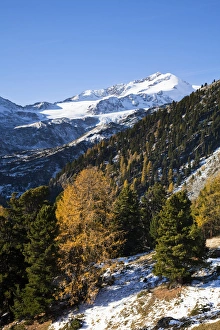 The upper valley Martelltal in fall with Mts Zufallspitzen...Europe, central europe The upper valley Martelltal in fall with Mts Zufallspitzen...Europe, central europe