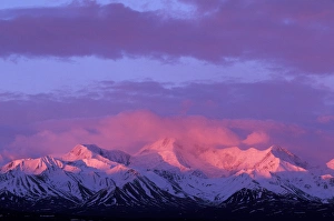 USA, Alaska, Denali NP Bright red alpenglow on Alaska Range peaks at 3 a.m. sunrise USA, Alaska, Denali NP Bright red alpenglow on Alaska Range peaks at 3 a.m. sunrise