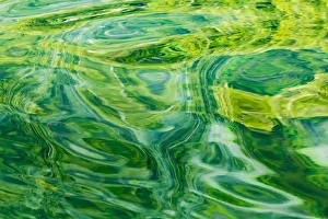 USA, Alaska, Glacier Bay National Park. Abstract of water in Dundas Bay. Credit as USA, Alaska, Glacier Bay National Park. Abstract of water in Dundas Bay. Credit as