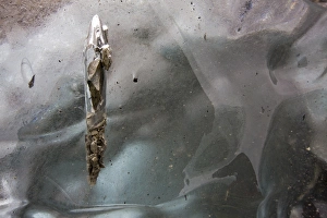 USA, Alaska, Detail of gravel melting into surface of iceberg grounded along Prince USA, Alaska, Detail of gravel melting into surface of iceberg grounded along Prince