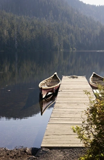 USA, Alaska, Ketchikan, Harriet Hunt Lake, Canoes tied up at dock for tours USA, Alaska, Ketchikan, Harriet Hunt Lake, Canoes tied up at dock for tours