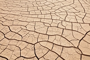 USA, Arizona, Gila Bend. Dried up and cracked river- bottom mud USA, Arizona, Gila Bend. Dried up and cracked river- bottom mud