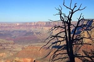 USA, Arizona, Grand Canyon. The Grand Canyon, a UNESCO World Heritage Site, view USA, Arizona, Grand Canyon. The Grand Canyon, a UNESCO World Heritage Site, view
