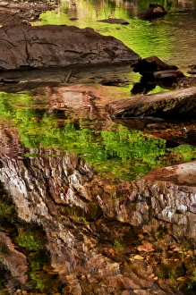 USA, Arizona, Sedona, Verdee Valley. Spring reflections in creek USA, Arizona, Sedona, Verdee Valley. Spring reflections in creek