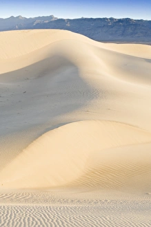 USA, CA, Mesquite Sand Dunes at Dawn in Death Valley NP USA, CA, Mesquite Sand Dunes at Dawn in Death Valley NP