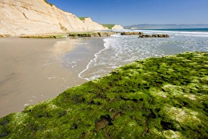 USA, California, Drakes beach at Point Reyes National Seashore USA, California, Drakes beach at Point Reyes National Seashore
