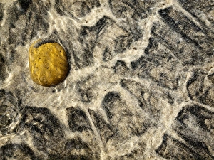 USA, California, Encinitas, Rock in sand and water at beach USA, California, Encinitas, Rock in sand and water at beach